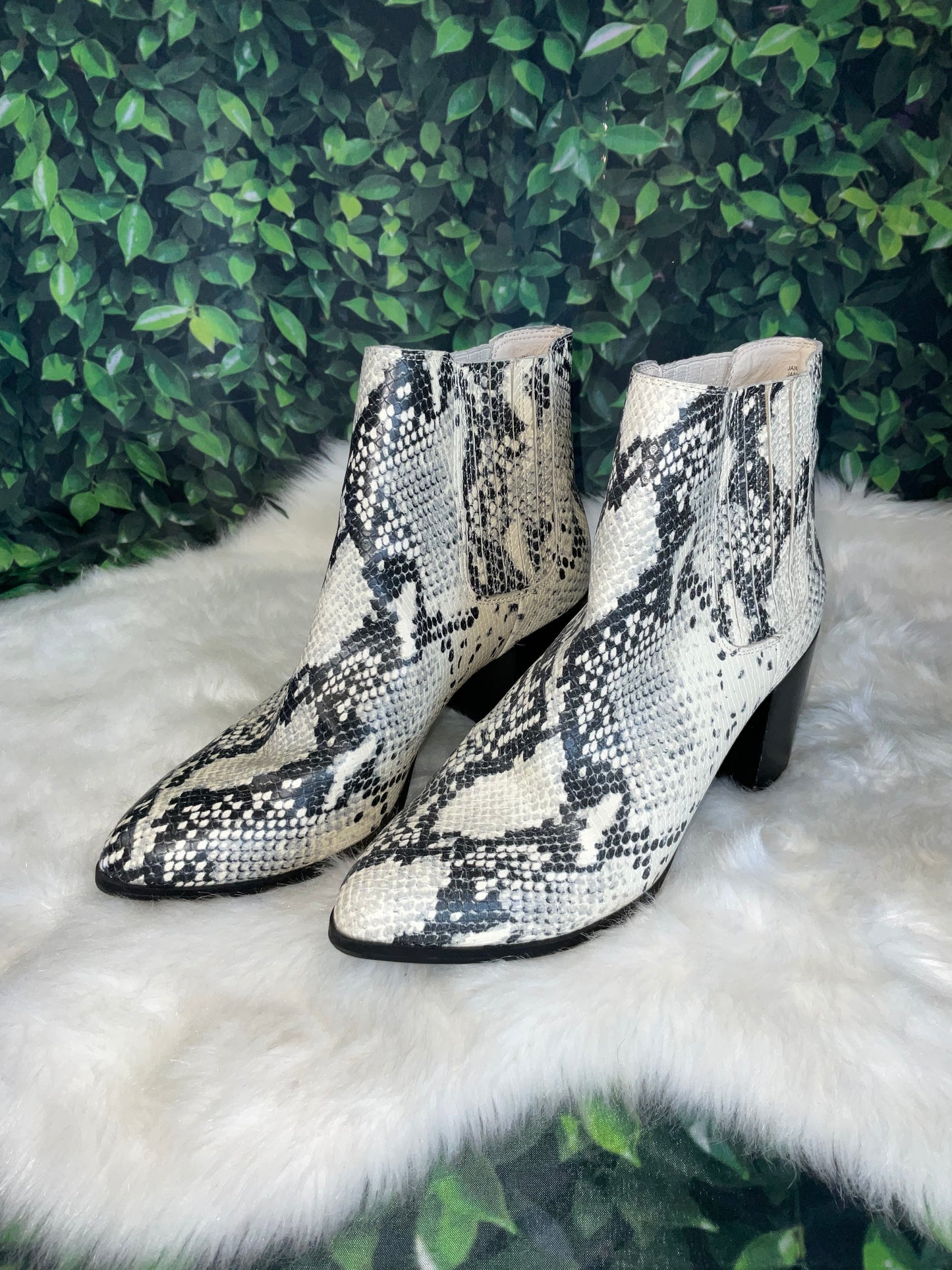 Steve Madden ankle boots